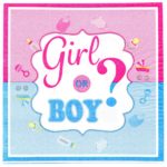 Անձեռոցիկ Girl or Boy 20 հատ